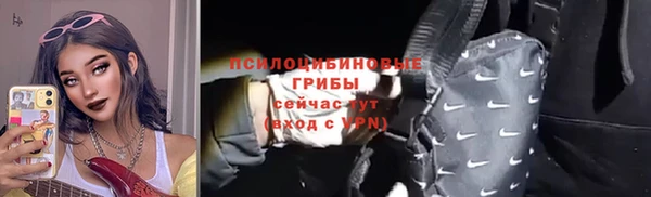 ешки Аркадак
