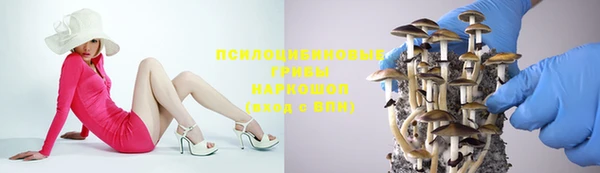 ешки Аркадак