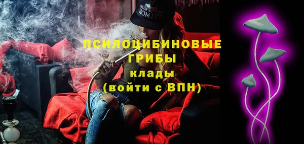 стафф Алзамай