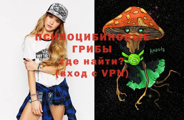 ешки Аркадак