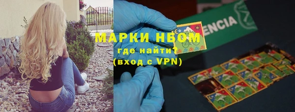 прущий лед Арсеньев
