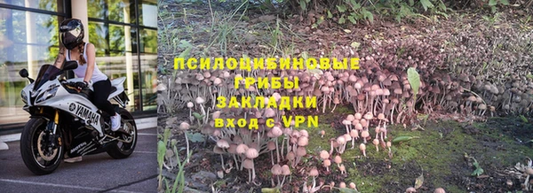 винт Алексин