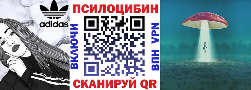 Псилоцибиновые грибы Psilocybe  Уяр 